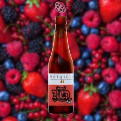 Belgicus RED Berry Ale